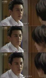 演员老干部是什么意思,他们独特的魅力与演技